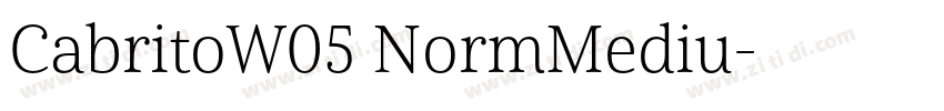 CabritoW05 NormMediu字体转换